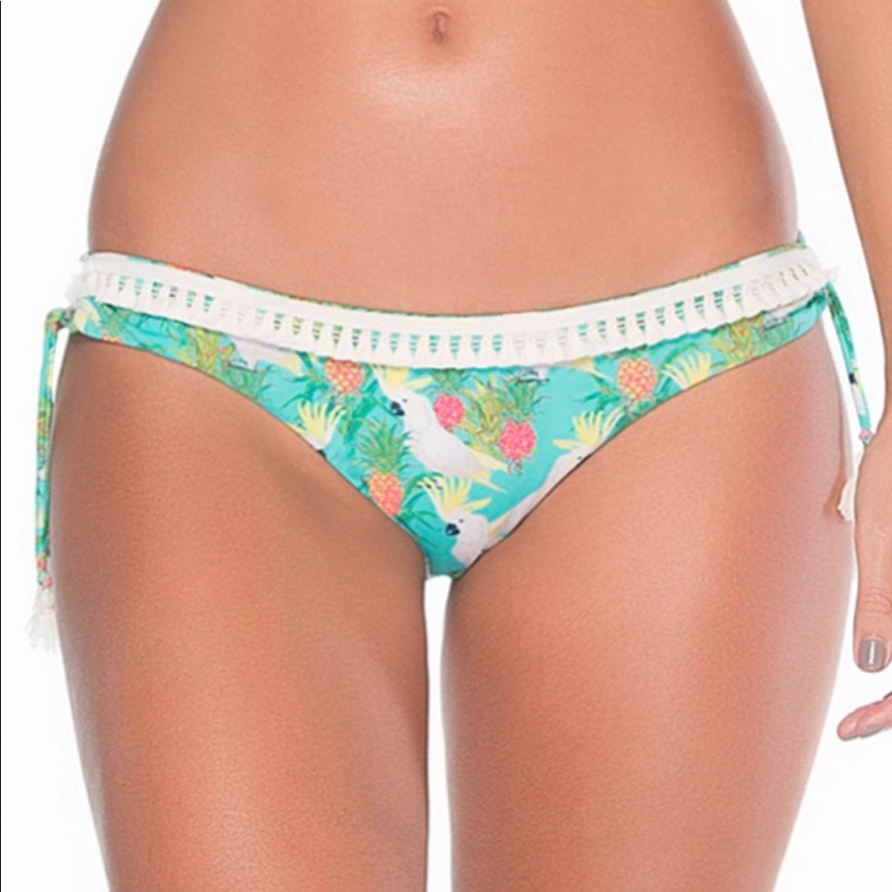 Anthropologie Palmacea bikini bottom only xl new
